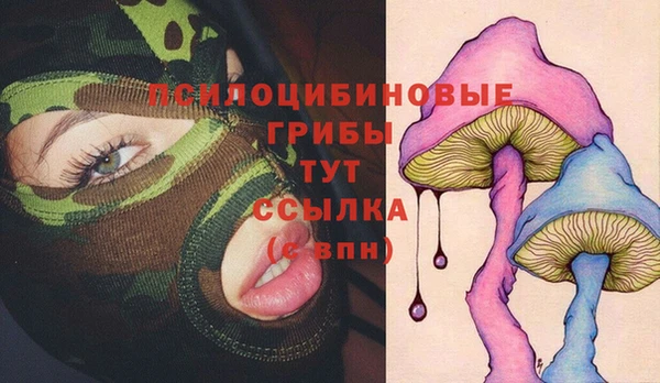 ПСИЛОЦИБИНОВЫЕ ГРИБЫ Навашино