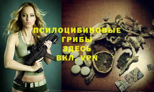 ПСИЛОЦИБИНОВЫЕ ГРИБЫ Навашино