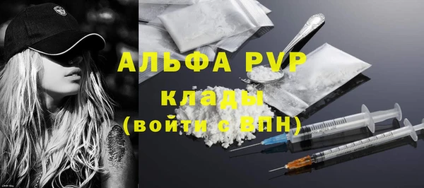 спиды Нея