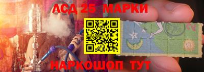 амф Гатчина