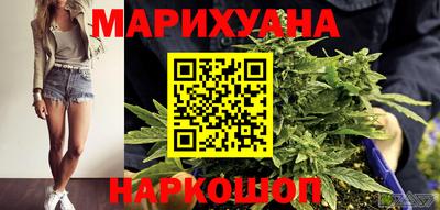 амф Гатчина