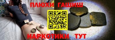 амф Гатчина