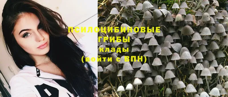 Псилоцибиновые грибы Magic Shrooms  Кубинка 