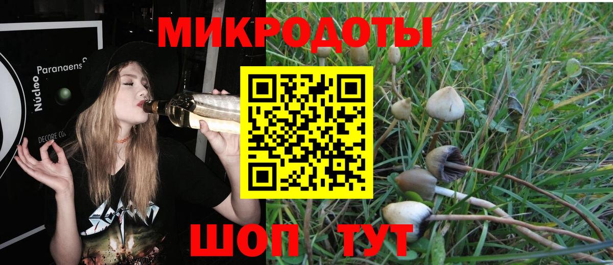 Псилоцибиновые грибы Psilocybe  Вход с VPN  купить   Кубинка  Галлюциногенные грибы Cubensis 