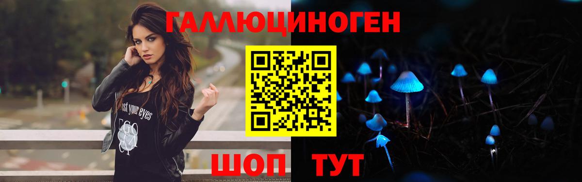 Псилоцибиновые грибы GOLDEN TEACHER Кубинка