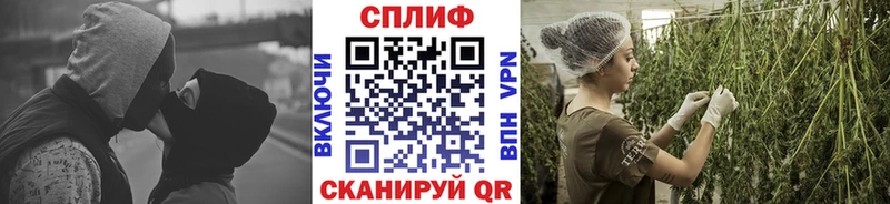 где купить наркоту Кубинка Конопля тримм